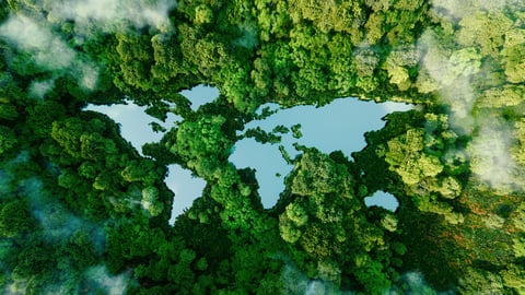 World map made of water on a background of greenery 