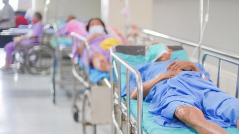 People lying in a row on stretchers in a crowded hospital