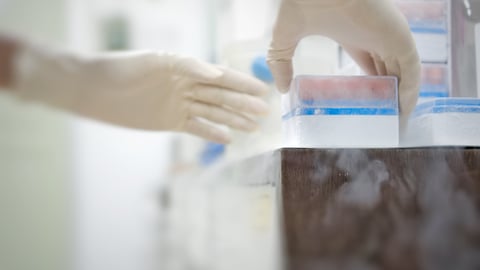 Gloved hands extracting medicines from cold storage