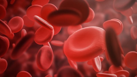 Blood cells