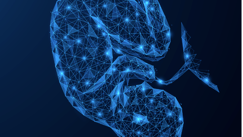 infant in womb vector,blue,dark,clear