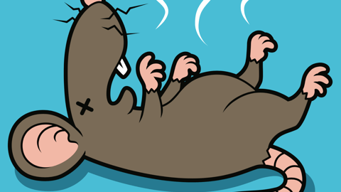 cartoon of dead mouse