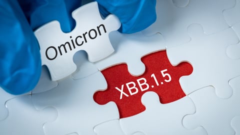 Puzzle piece being taken aside to reveal XBB.1.5