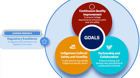 goals for the B.C. college of pharmacists strategic plan