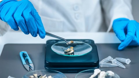 Measuring Psilocybin Magic Mushroom Micro Doses in Laboratory for A Scientific Experiment