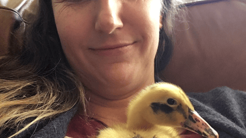 A woman holding a yellow and black duckling