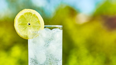 clear tall glass with sparkling water in it, lemon slice, fresh leafy green blurred background