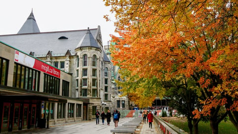 Students walk by McGill University Buildings near a tree with red leaves in autumn