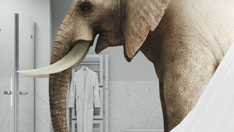 An elephant standing in a white clinical room