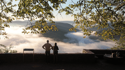  A couple enjoying a quiet nature scene