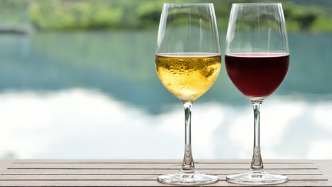two wine glasses, one red, one white, nature in the background