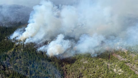 Wildfires in The Pas, Man. on May 24, 2025. (Shutterstock)