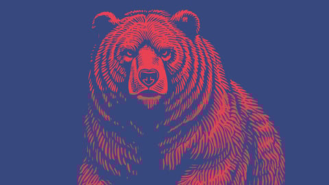 Bear!