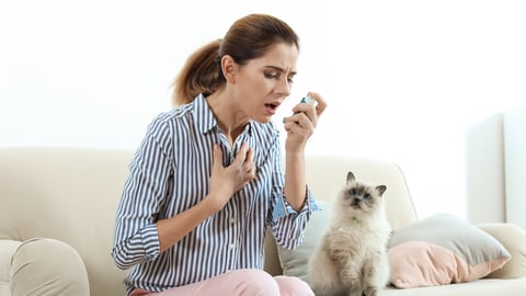 woman sitting on couch about to use inhaler looking distressed as cat looks at her, suggesting cat allergy or asthma because of cat dander