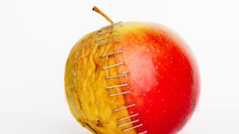 Half a bad apple stapled to a ripe apple
