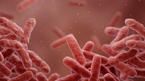 A 3D illustration of bacteria gaining drug resistance.