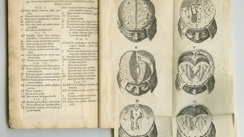 Antique medical illustrations in an old book