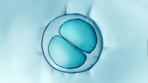 Cell divides into two cells
