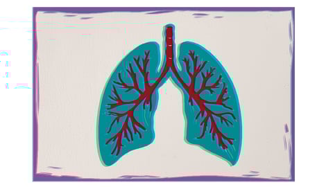 Cartoon of a set of lungs