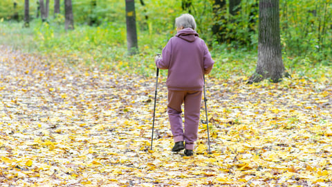 Older woman walking in a pleasant leaf-covered path in the park