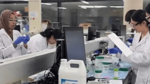 Pharmacy students working in a lab together