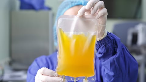 Gloved hands of a medical worker holding a bag of blood plasma close-up