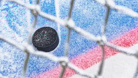 Hocky puck in a net