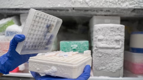 Medical freezer with various frozen supplies