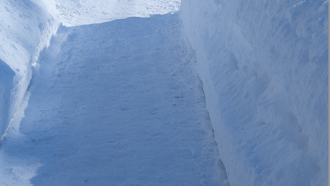 A snowy shovelled sidewalk