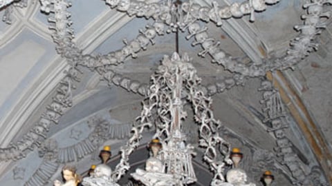 Intricate architectural detail made of bones