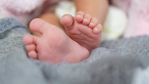 Infant's feet