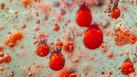 Blood closeup