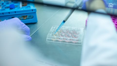 Scientist working in a cell culture lab