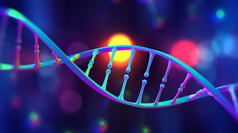 Cartoon of DNA helix