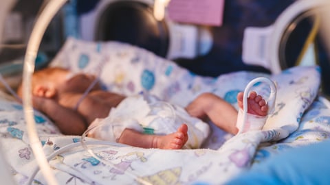 premature baby in incubator