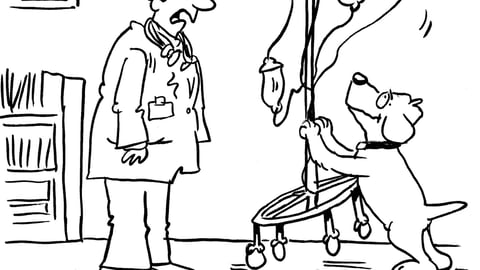 Cartoon