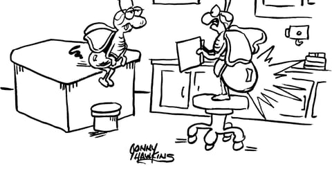 cartoon
