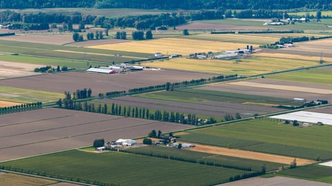 Expansive aerial farmland panorama showing patchwork crop fields, farms, silos and roads near Chilliwack, B.C.