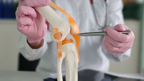 A model of a human knee joint with a doctor pointing at the knee with a pen