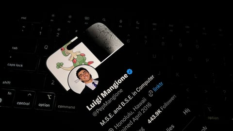 Luigi Mangione's twitter profile
