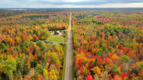 Fall colours in Prince Edward Island.
