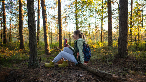 Young woman resting after part of a hike in a wooded area