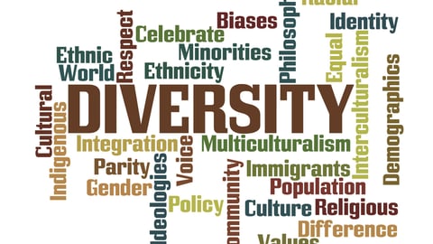 Diversity Word Cloud with White Background; Shutterstock ID 202478959