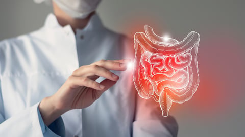 Female doctor holding virtual Intestine in hand. Handrawn human organ, blurred photo, raw photo colors. Healthcare hospital service concept stock photo; Shutterstock ID 2075764084