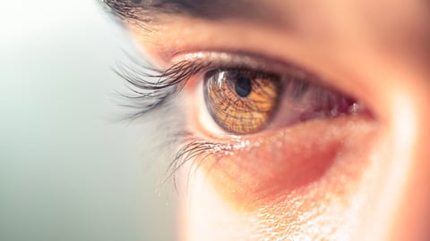 Brown man eye macro shot. Macro shot of a man's eyes.close up view of adult asian man eye with eyelashes and eyebrow looking in front confidently.; Shutterstock ID 2323348775