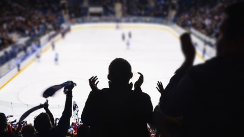 Fans support team in ice hockey stadium - happy people applause after winning goal..; Shutterstock ID 629801495