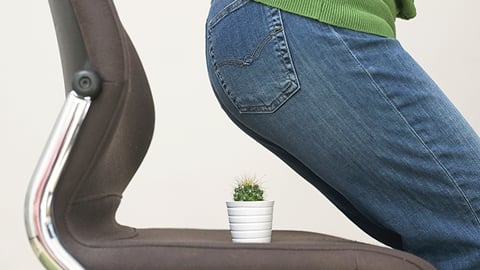 patient sitting on a cactus to illustrate hemorrhoid pain