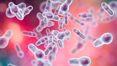 illustration of c. difficile molecules