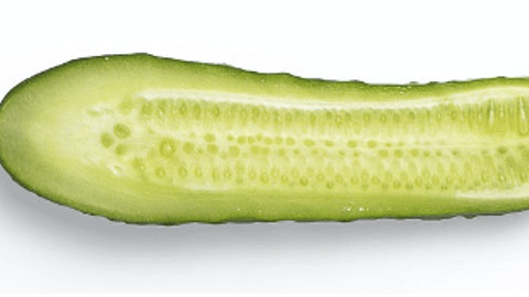 pickle