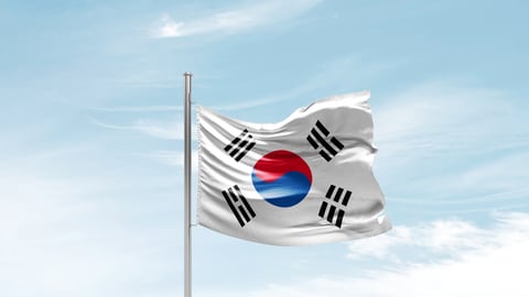 Korean flag waving